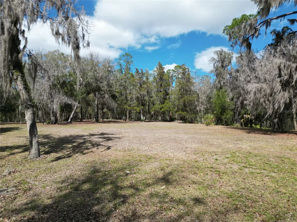17830 NE 49TH STREET ROAD Silver Springs, FL 34488
