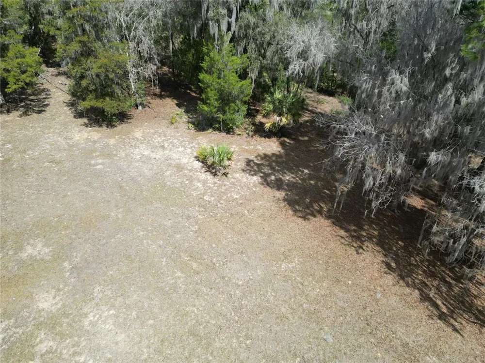 17830 NE 49TH STREET ROAD Silver Springs, FL 34488