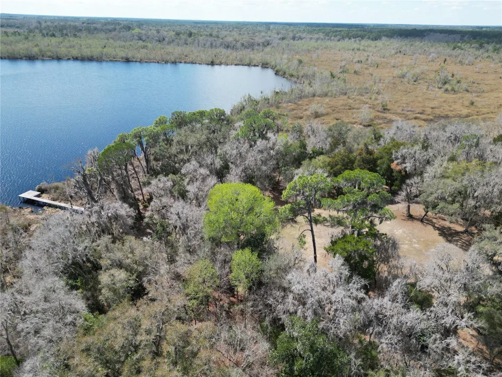 17830 NE 49TH STREET ROAD Silver Springs, FL 34488
