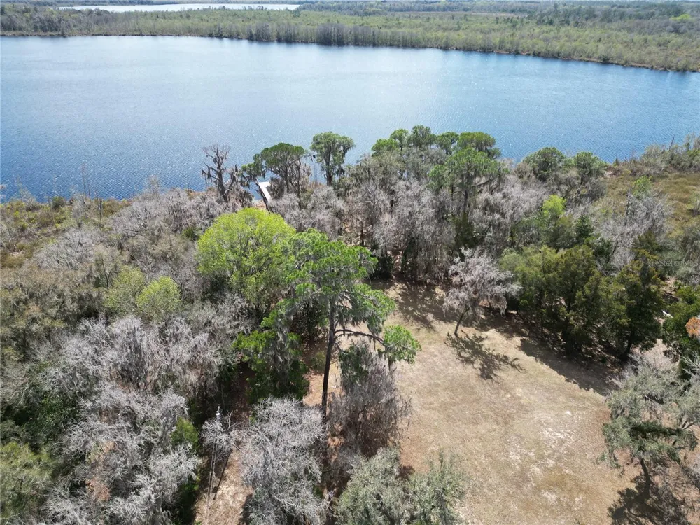 17830 NE 49TH STREET ROAD Silver Springs, FL 34488