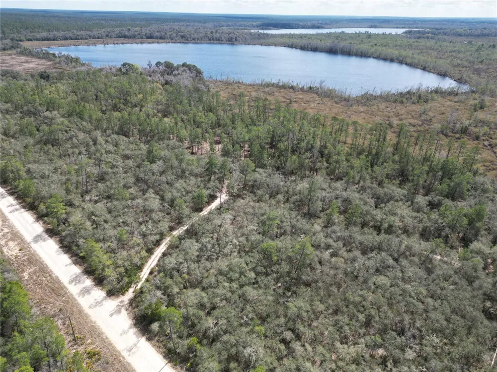 17830 NE 49TH STREET ROAD Silver Springs, FL 34488