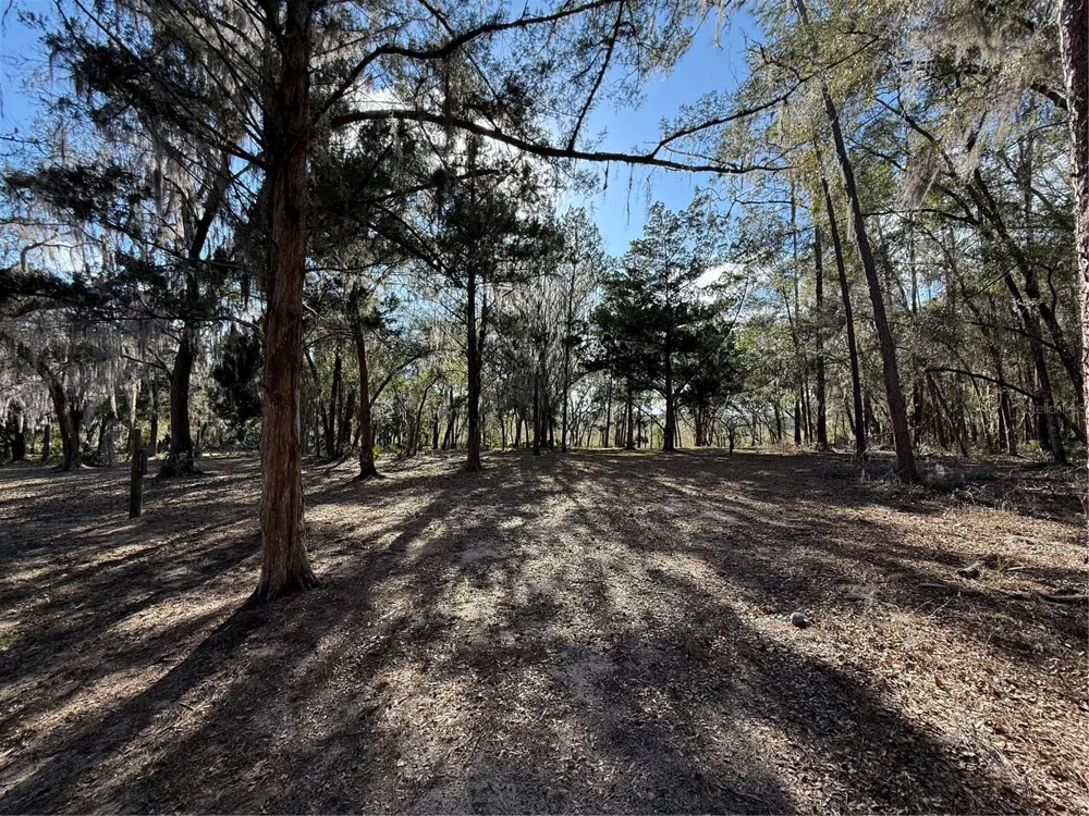 17830 NE 49TH STREET ROAD Silver Springs, FL 34488