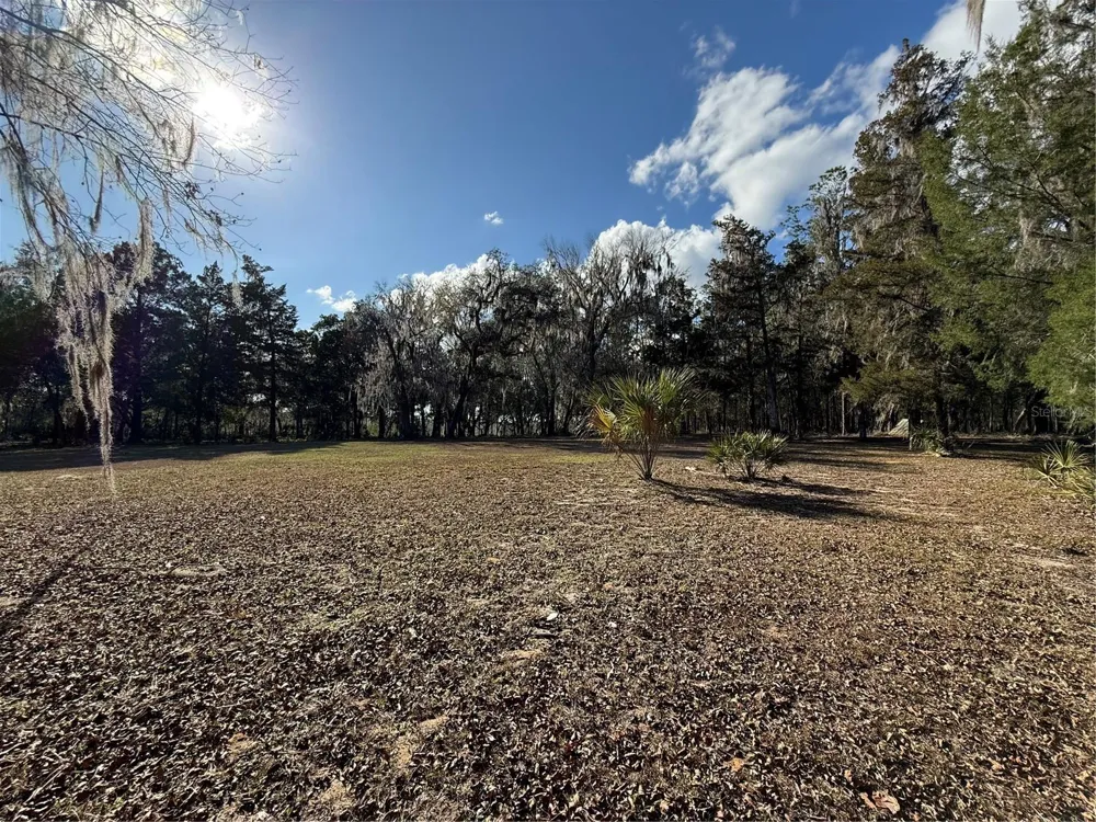 17830 NE 49TH STREET ROAD Silver Springs, FL 34488