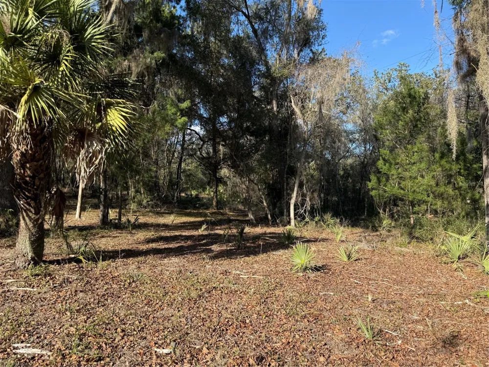 17830 NE 49TH STREET ROAD Silver Springs, FL 34488