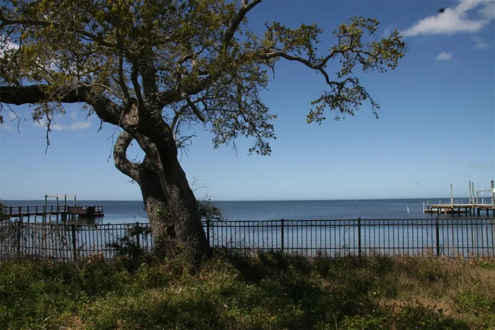000 BLUFF BOULEVARD Holiday, FL 34691