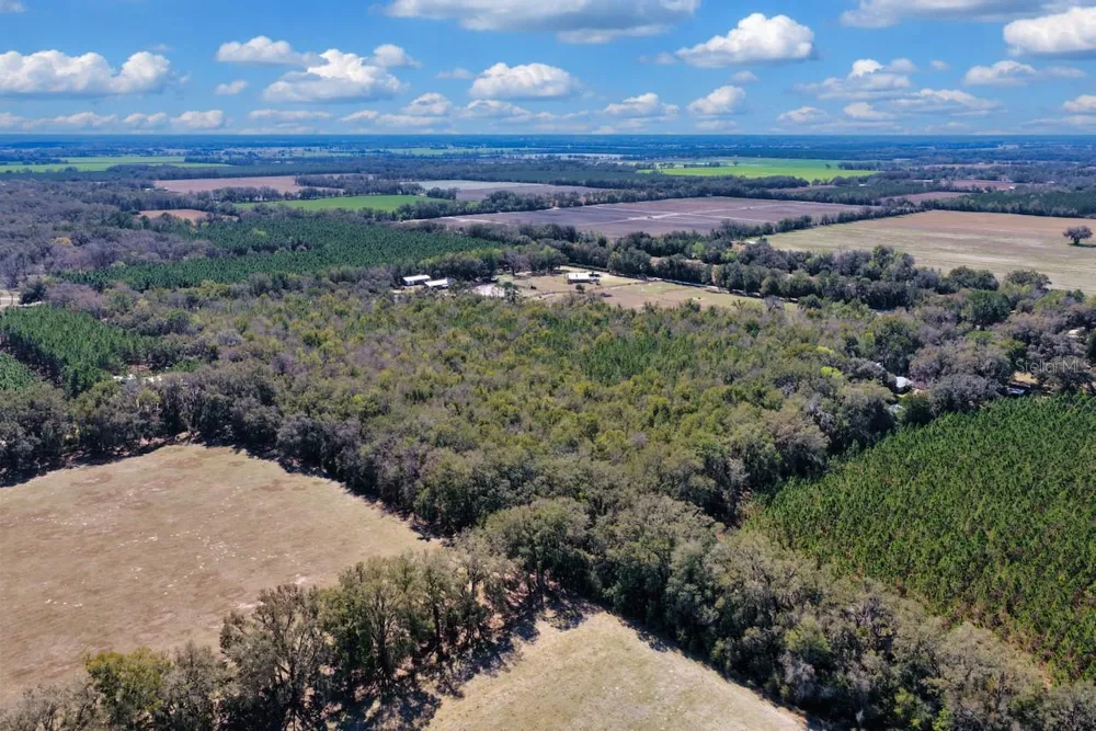 CR 339 NW Trenton, FL 32693