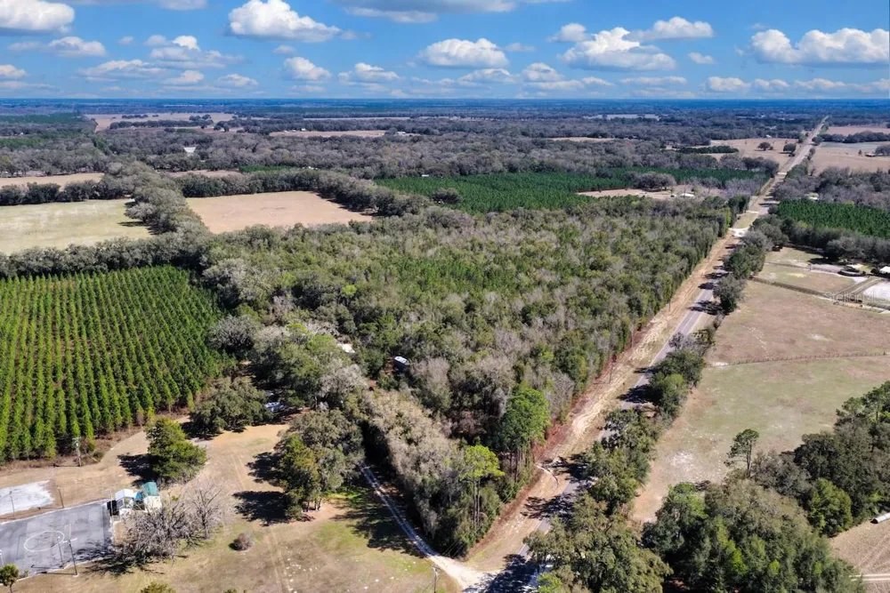 CR 339 NW Trenton, FL 32693