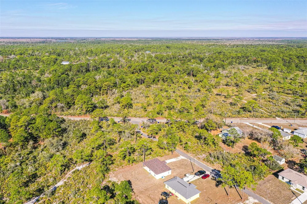 1403 BITTERSWEET STREET Lake Placid, FL 33852