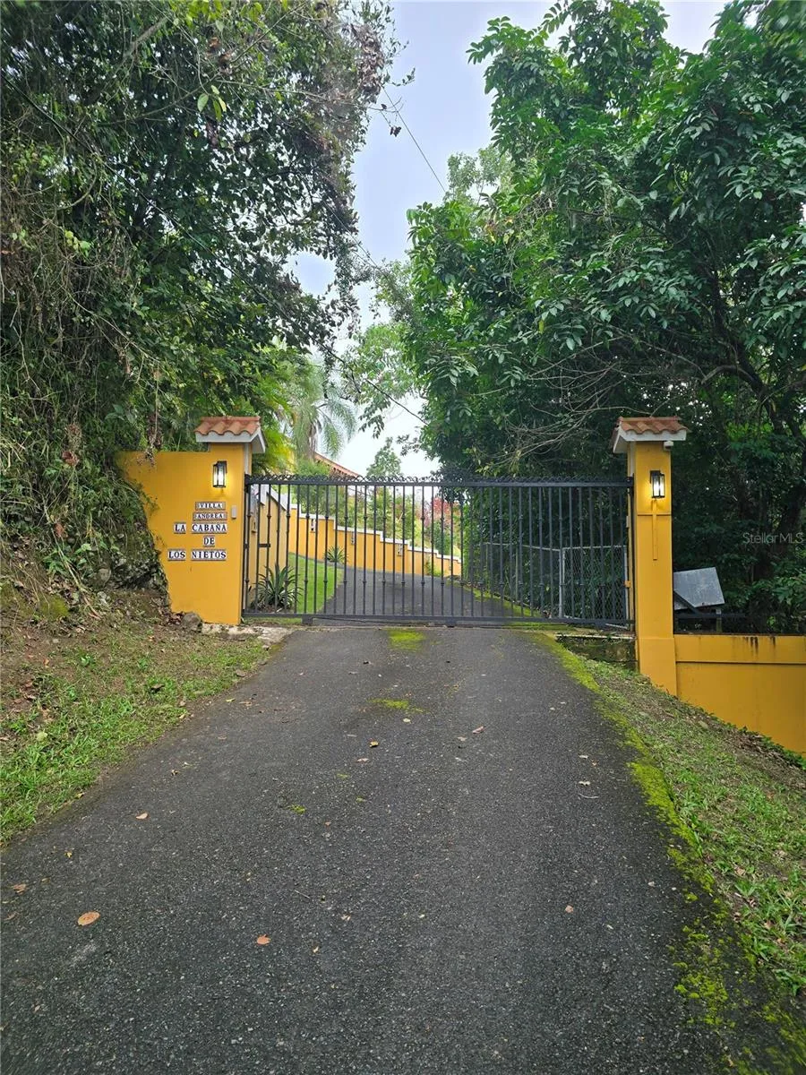 BO PULGUILLAS, CARR. 723 Coamo, PR 00769