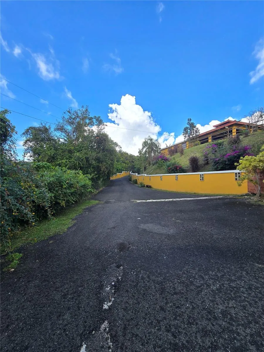 BO PULGUILLAS, CARR. 723 Coamo, PR 00769