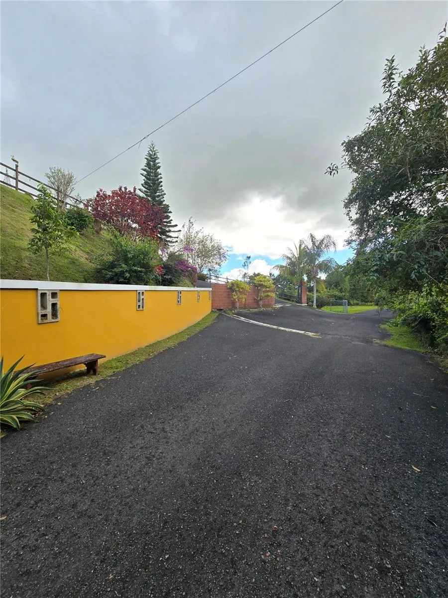 BO PULGUILLAS, CARR. 723 Coamo, PR 00769