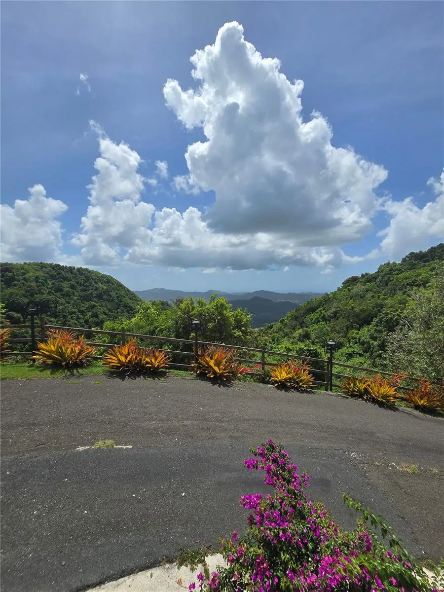 BO PULGUILLAS, CARR. 723 Coamo, PR 00769