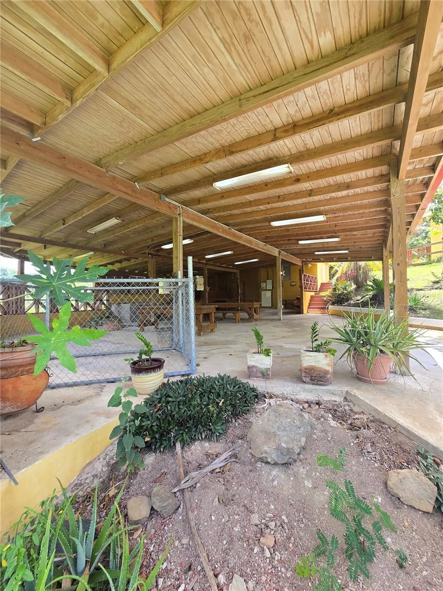 BO PULGUILLAS, CARR. 723 Coamo, PR 00769
