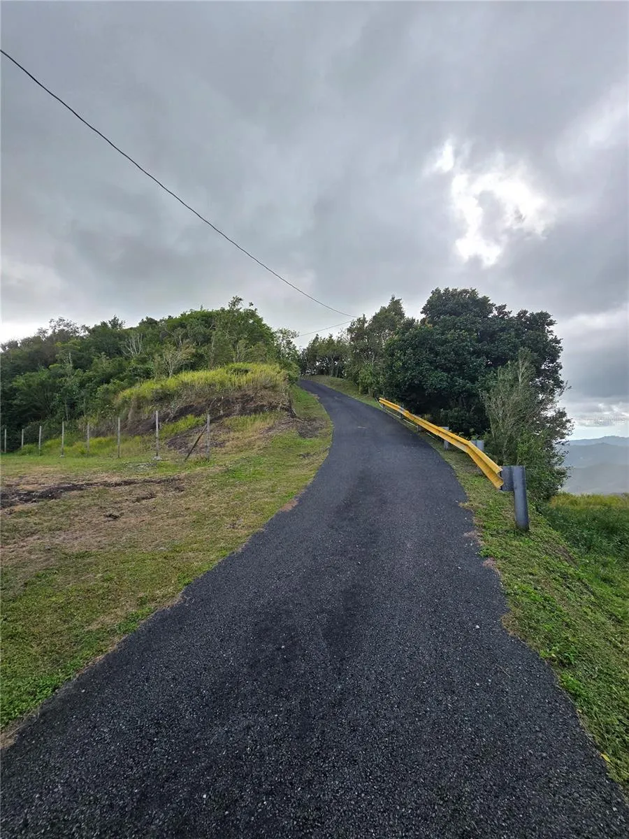 BO PULGUILLAS, CARR. 723 Coamo, PR 00769