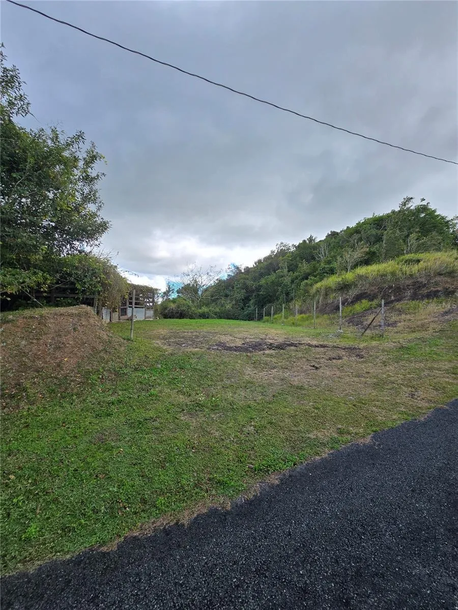 BO PULGUILLAS, CARR. 723 Coamo, PR 00769