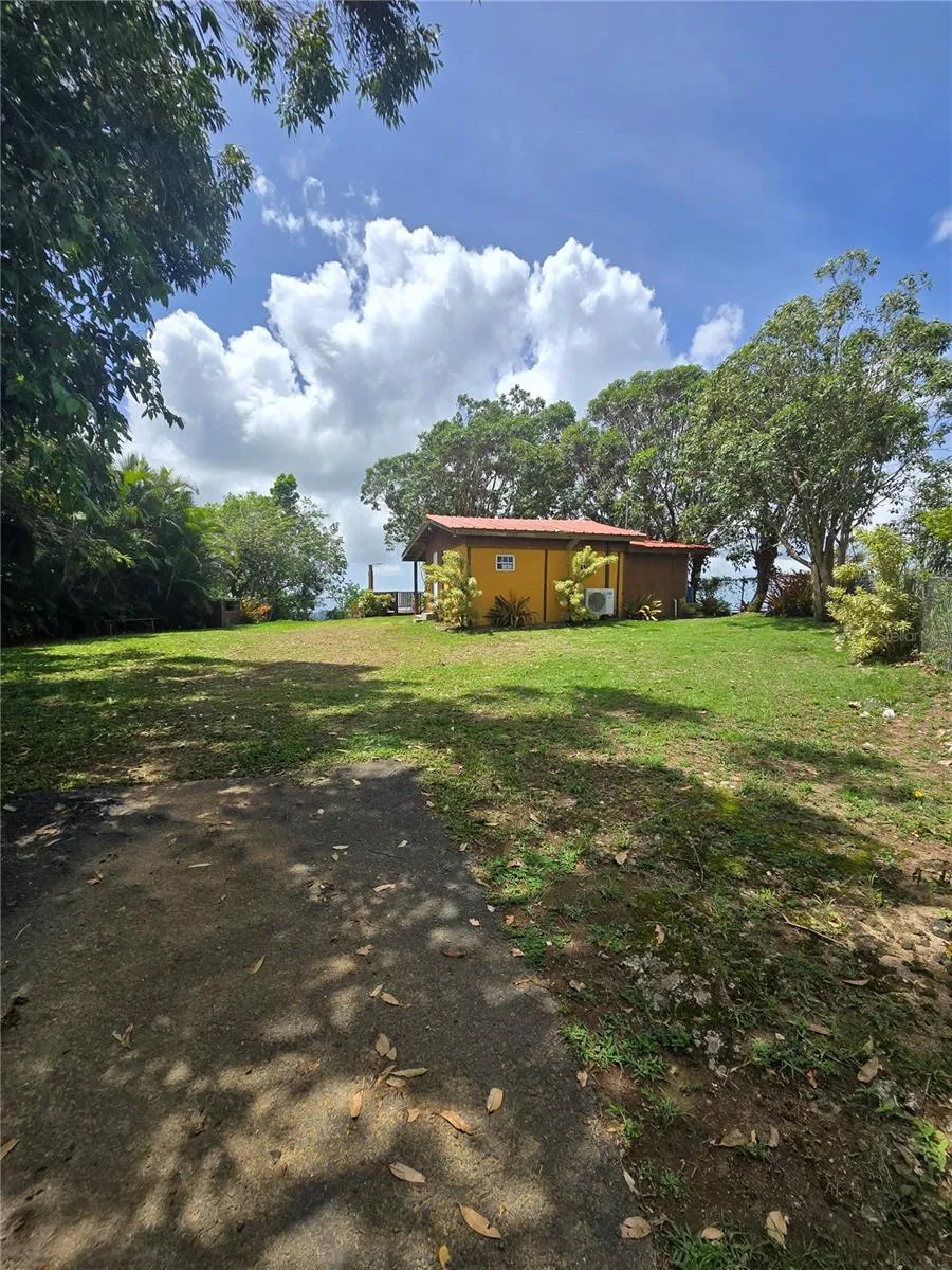 BO PULGUILLAS, CARR. 723 Coamo, PR 00769