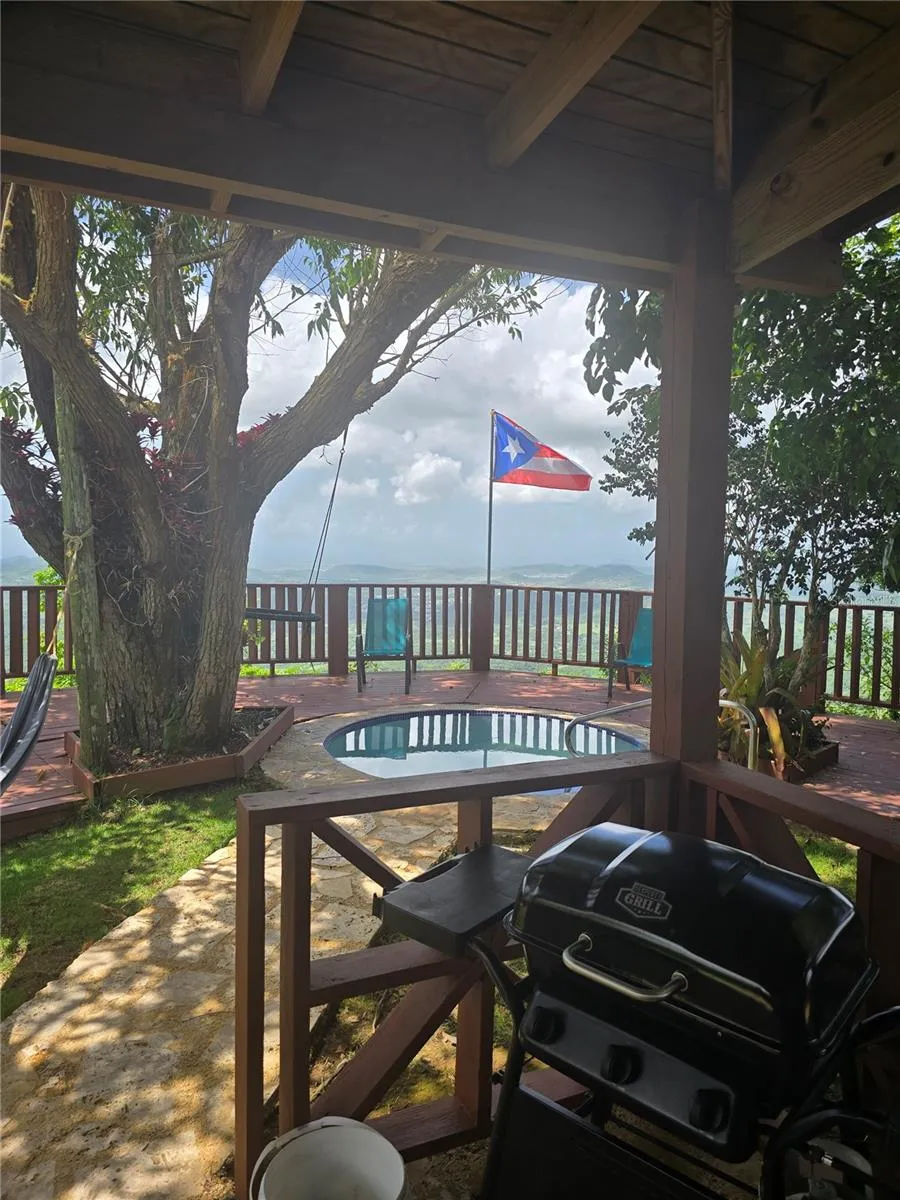 BO PULGUILLAS, CARR. 723 Coamo, PR 00769