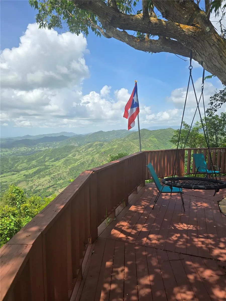 BO PULGUILLAS, CARR. 723 Coamo, PR 00769