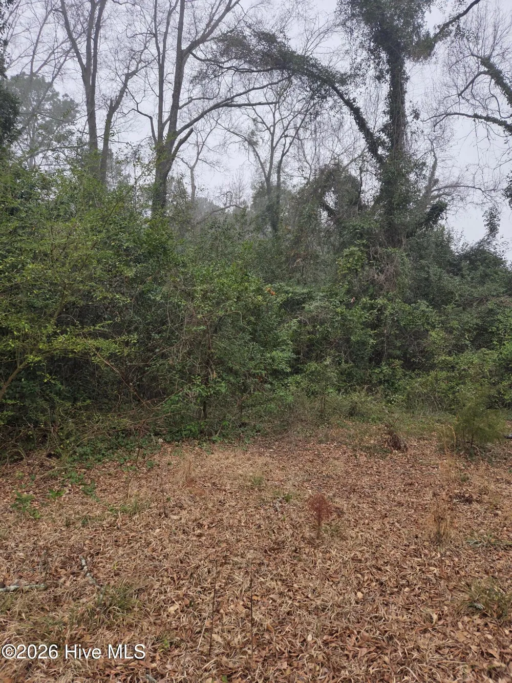 Tbd S Caroline Rockingham, NC 28379