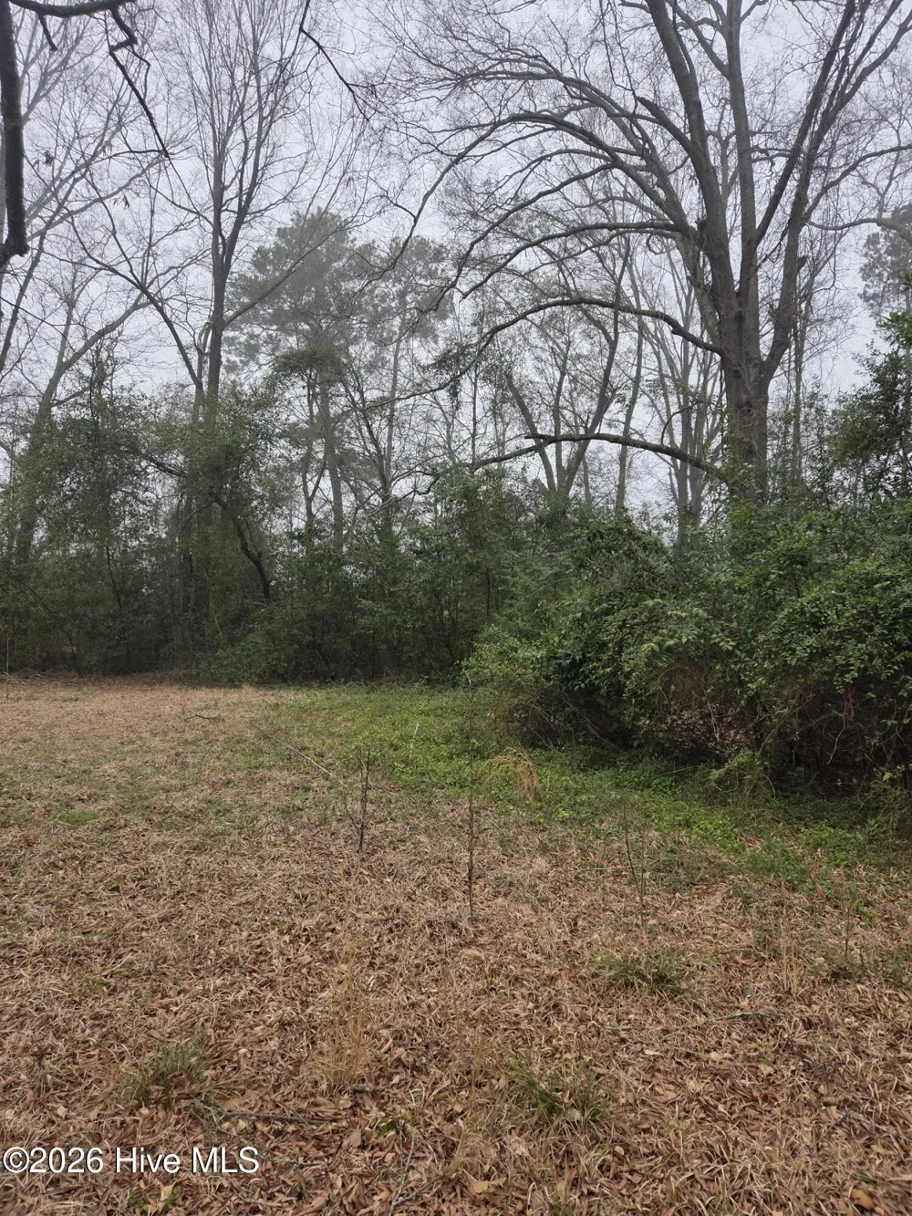 Tbd S Caroline Rockingham, NC 28379