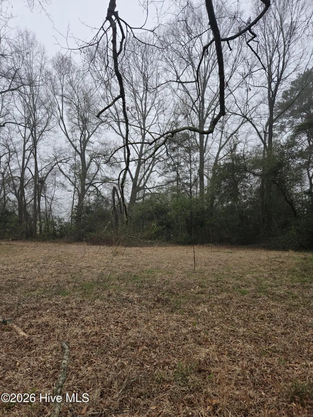 Tbd S Caroline Rockingham, NC 28379