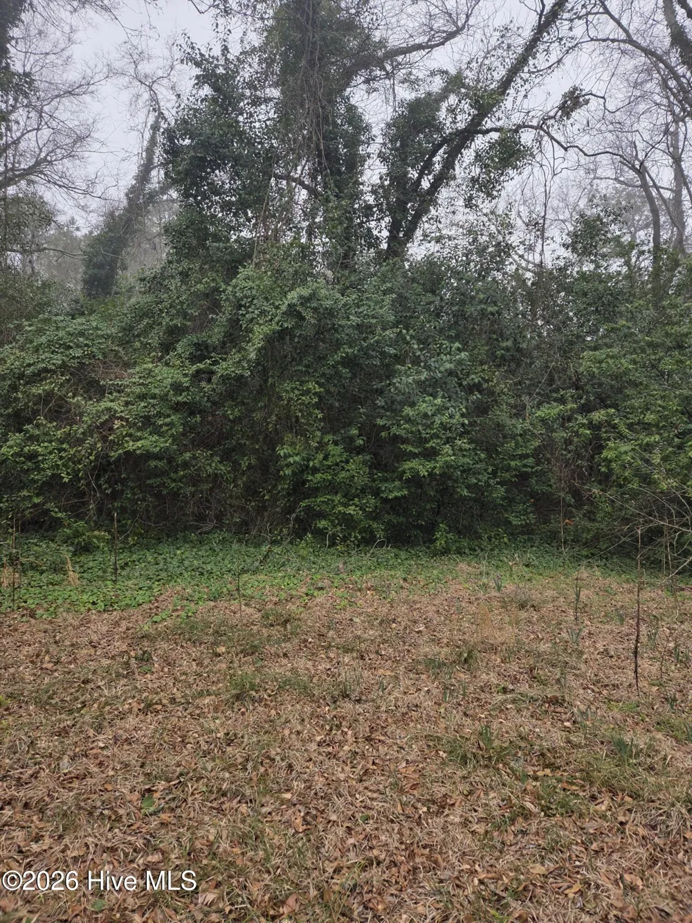 Tbd S Caroline Rockingham, NC 28379