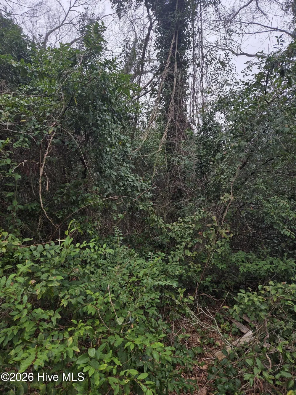 Tbd S Caroline Rockingham, NC 28379