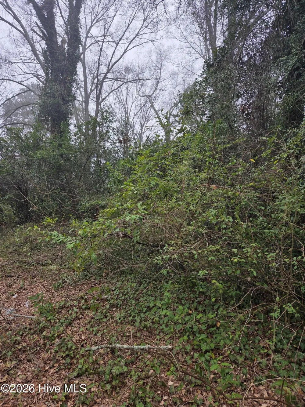 Tbd S Caroline Rockingham, NC 28379