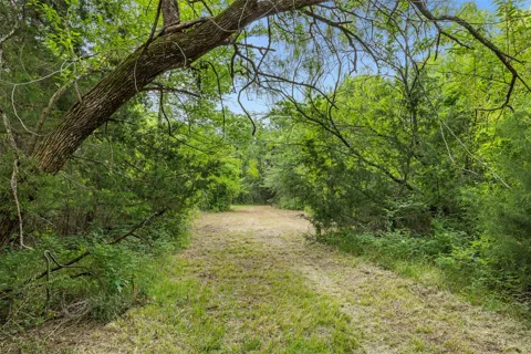 3797 County Road 328