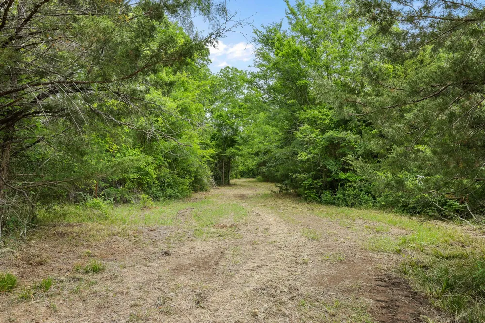 3797 County Road 328 Caldwell, TX 77836