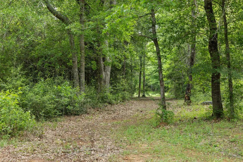 3797 County Road 328 Caldwell, TX 77836