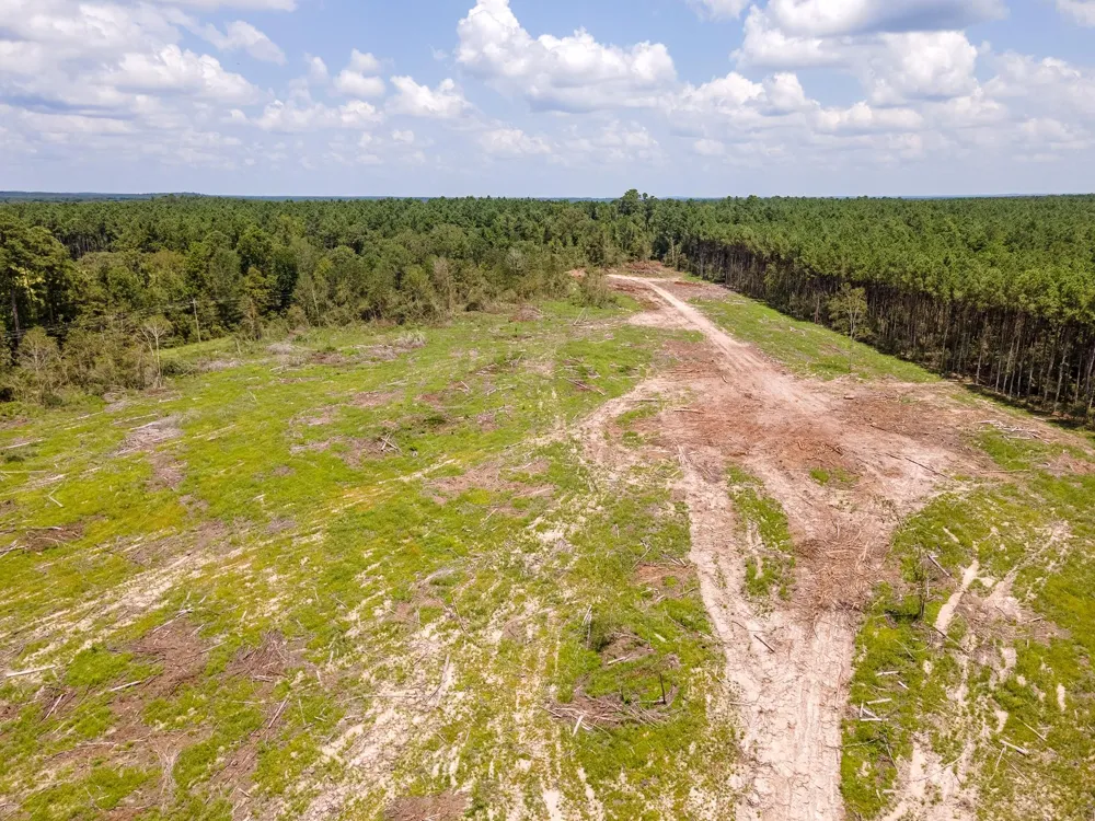 53358 Hwy 94 Apple Springs, TX 75926