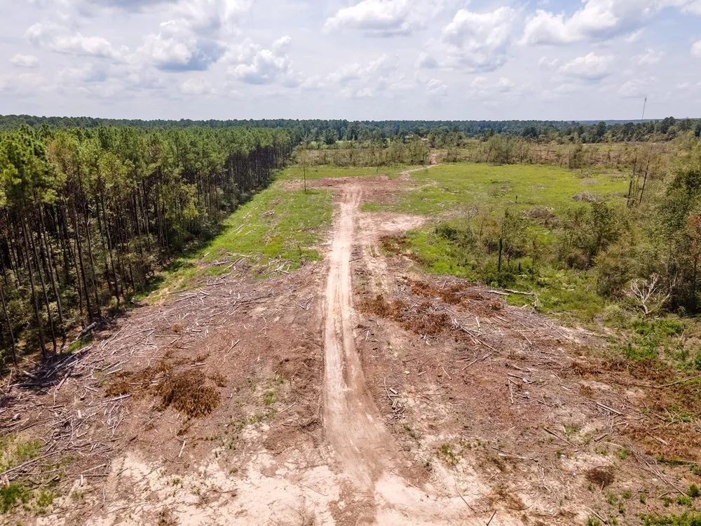 53358 Hwy 94 Apple Springs, TX 75926