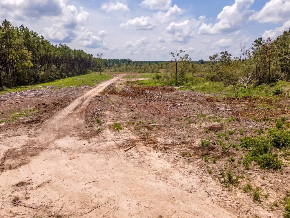 53358 Hwy 94 Apple Springs, TX 75926