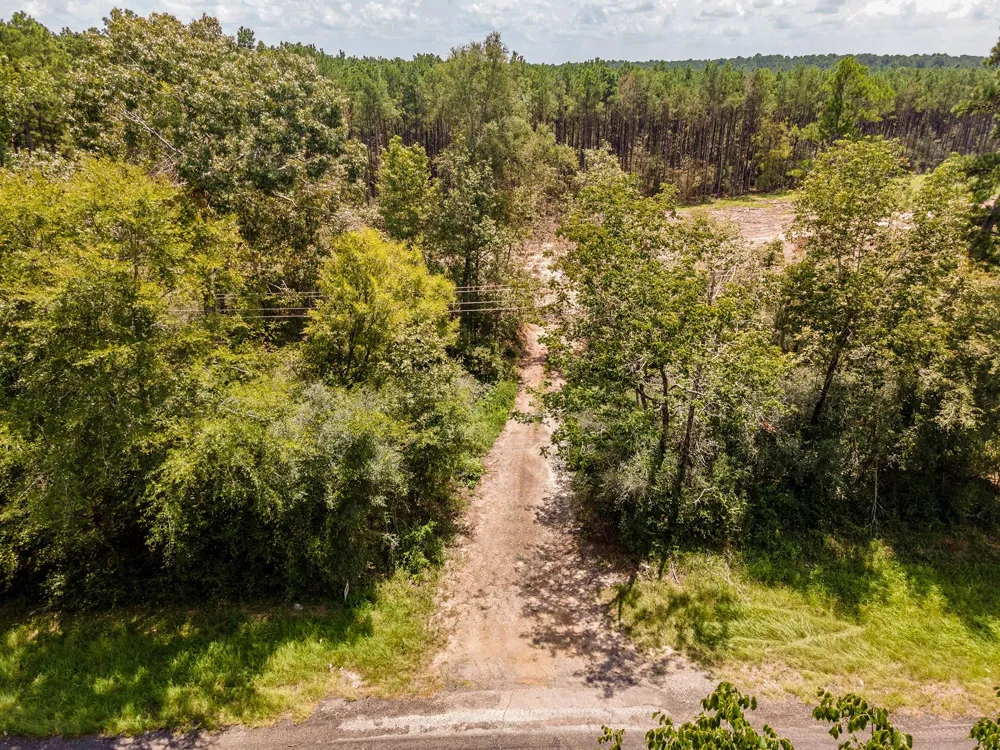 53358 Hwy 94 Apple Springs, TX 75926