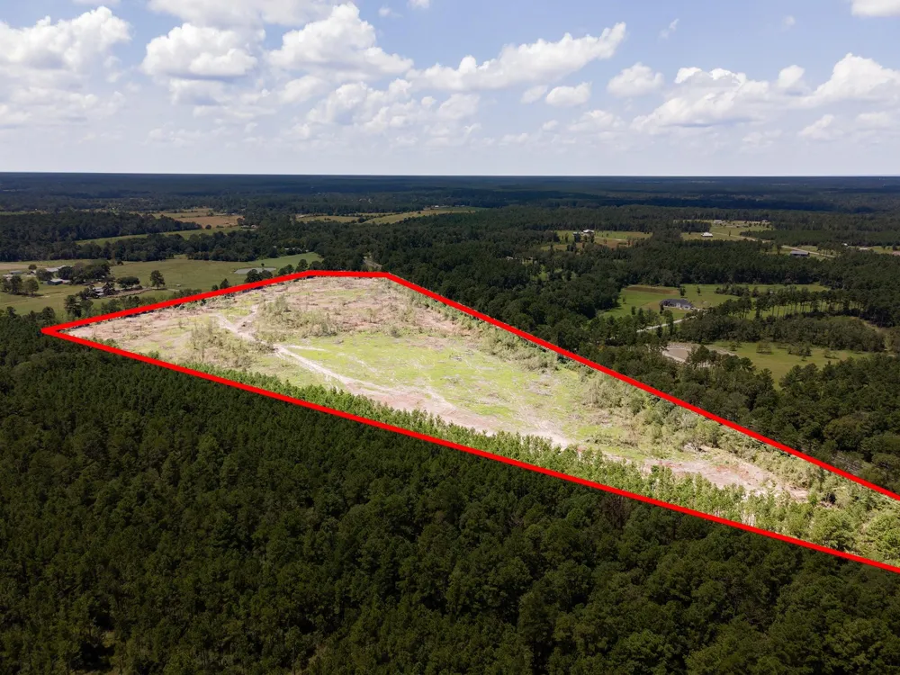 53358 Hwy 94 Apple Springs, TX 75926