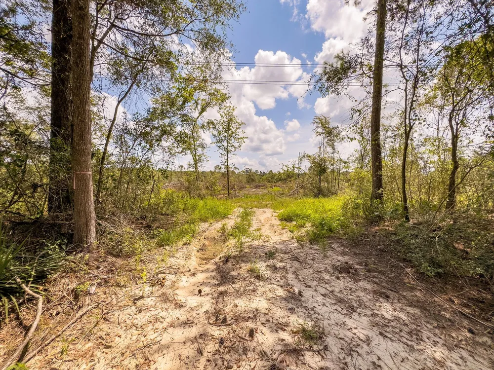 53358 Hwy 94 Apple Springs, TX 75926