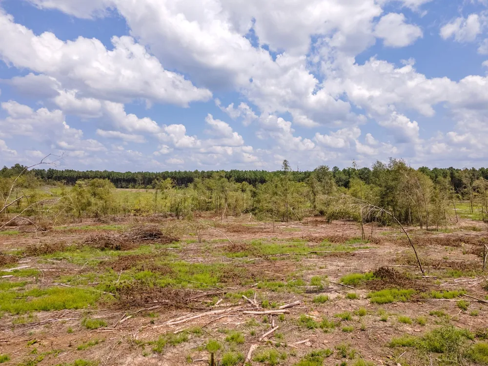 53358 Hwy 94 Apple Springs, TX 75926