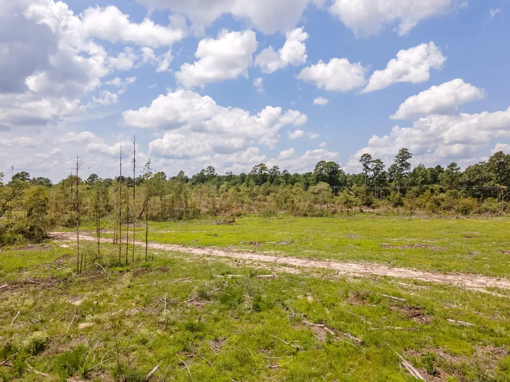 53358 Hwy 94 Apple Springs, TX 75926
