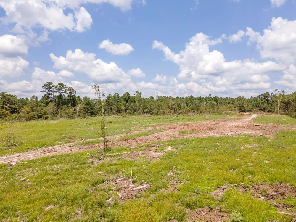 53358 Hwy 94 Apple Springs, TX 75926