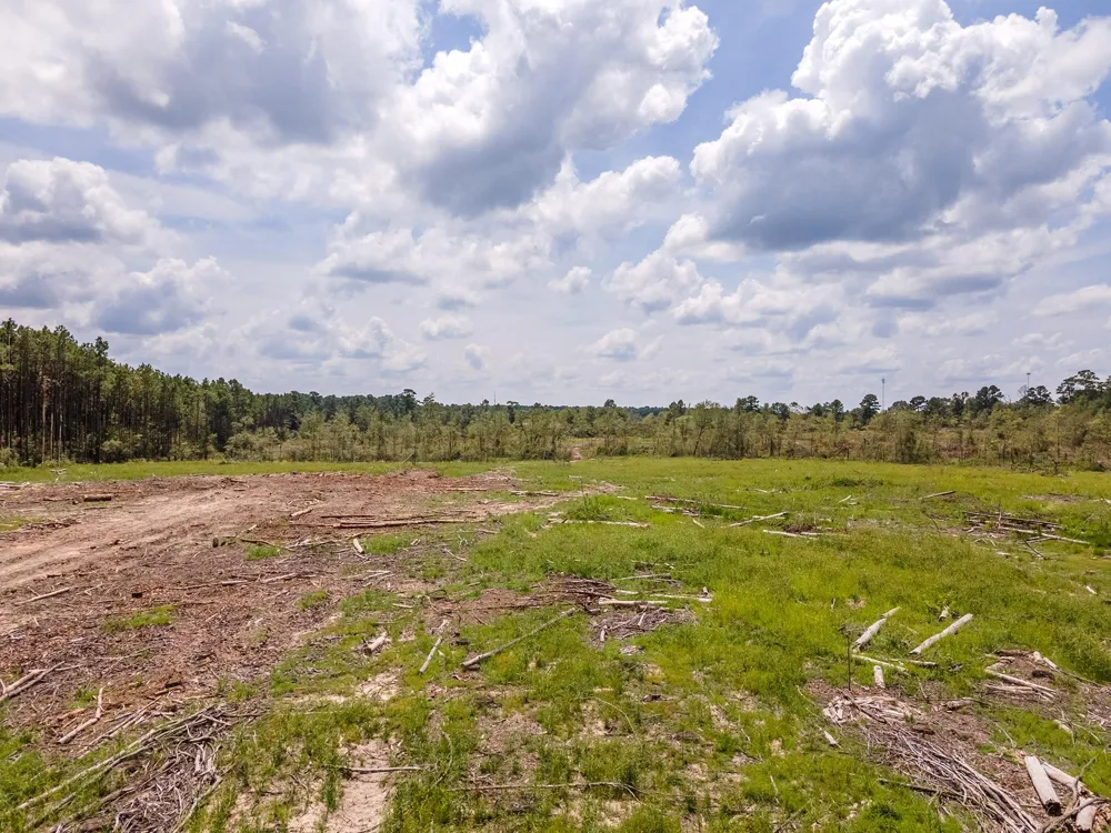 53358 Hwy 94 Apple Springs, TX 75926