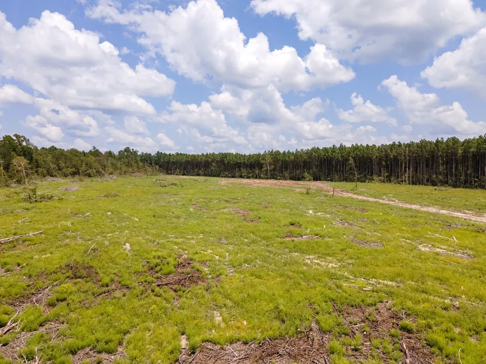 53358 Hwy 94 Apple Springs, TX 75926