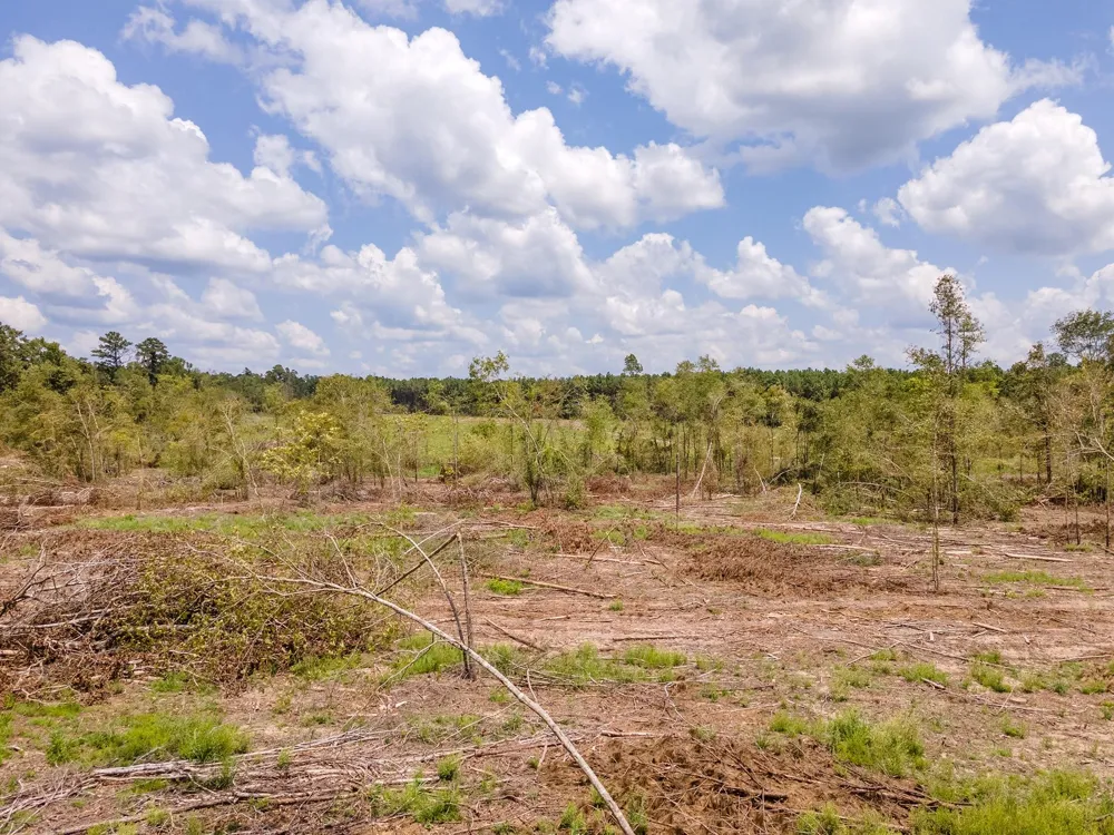 53358 Hwy 94 Apple Springs, TX 75926