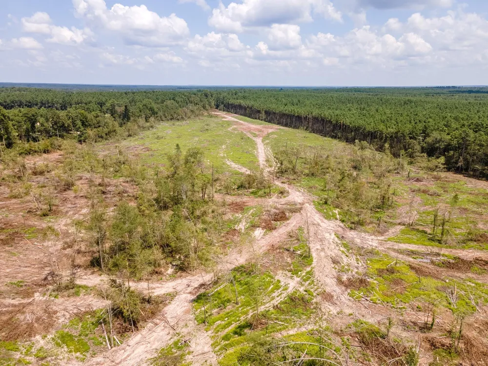 53358 Hwy 94 Apple Springs, TX 75926