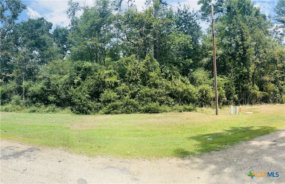 MISTLETOE STREET Onalaska, TX 77360