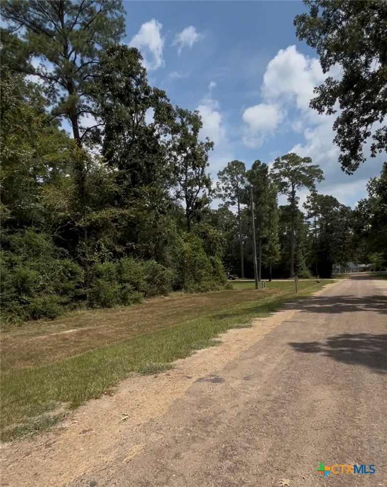 MISTLETOE STREET Onalaska, TX 77360