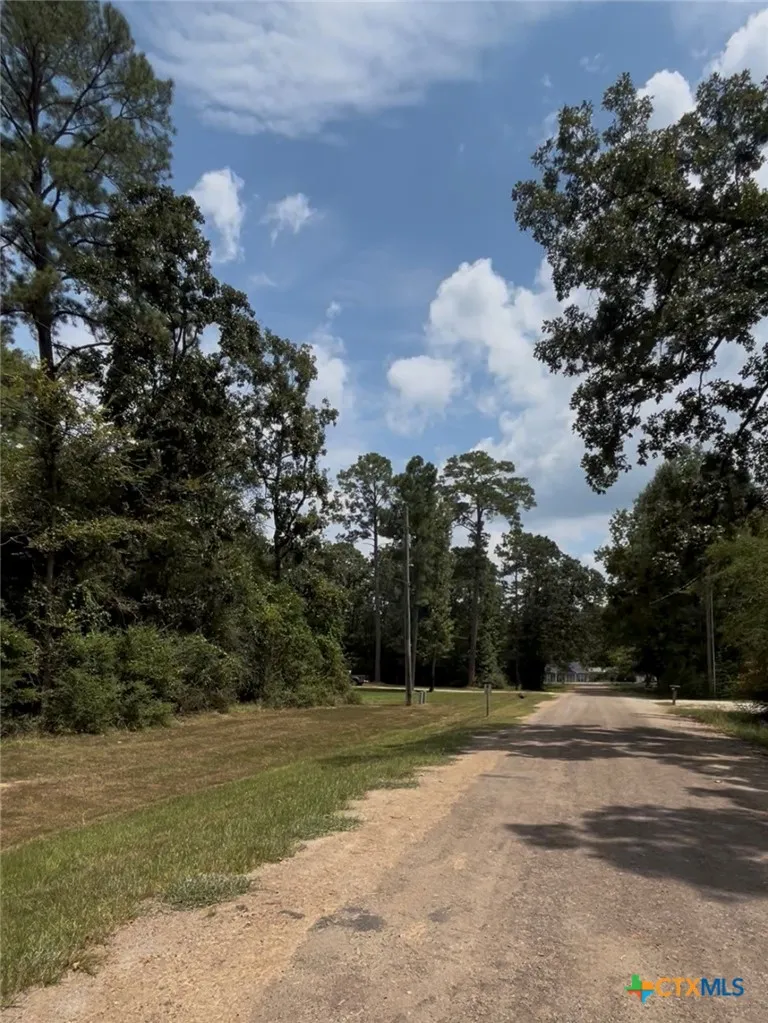 MISTLETOE STREET Onalaska, TX 77360