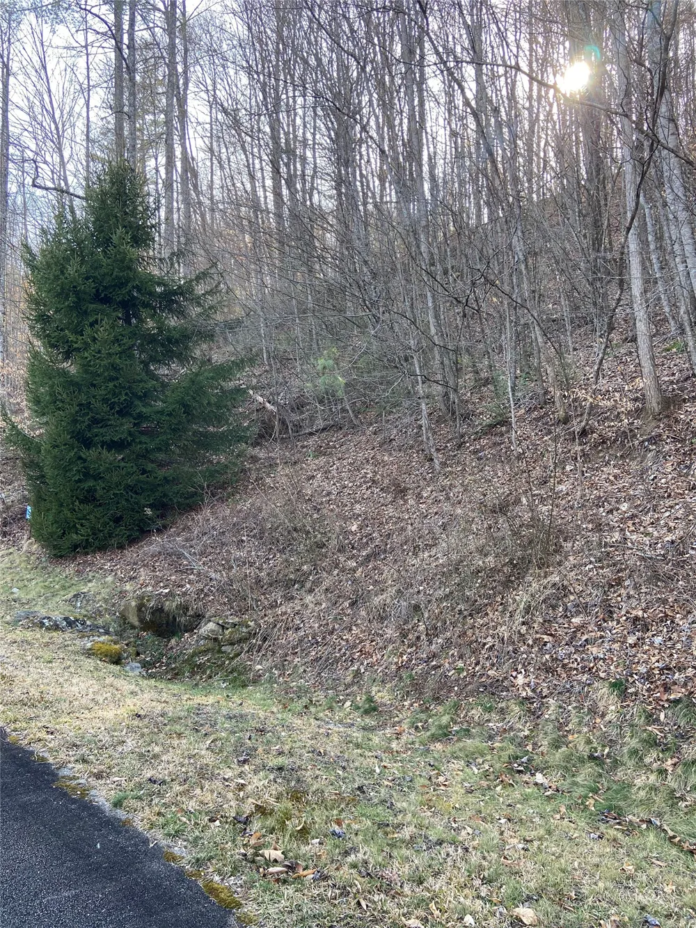 35 Waterdance Drive Cullowhee, NC 28723