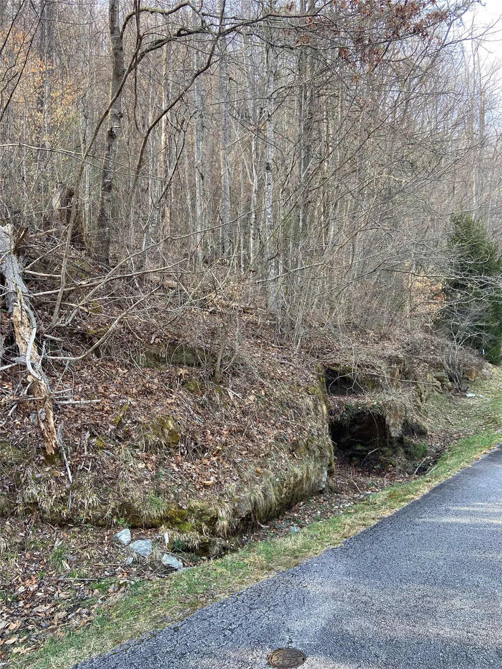 35 Waterdance Drive Cullowhee, NC 28723
