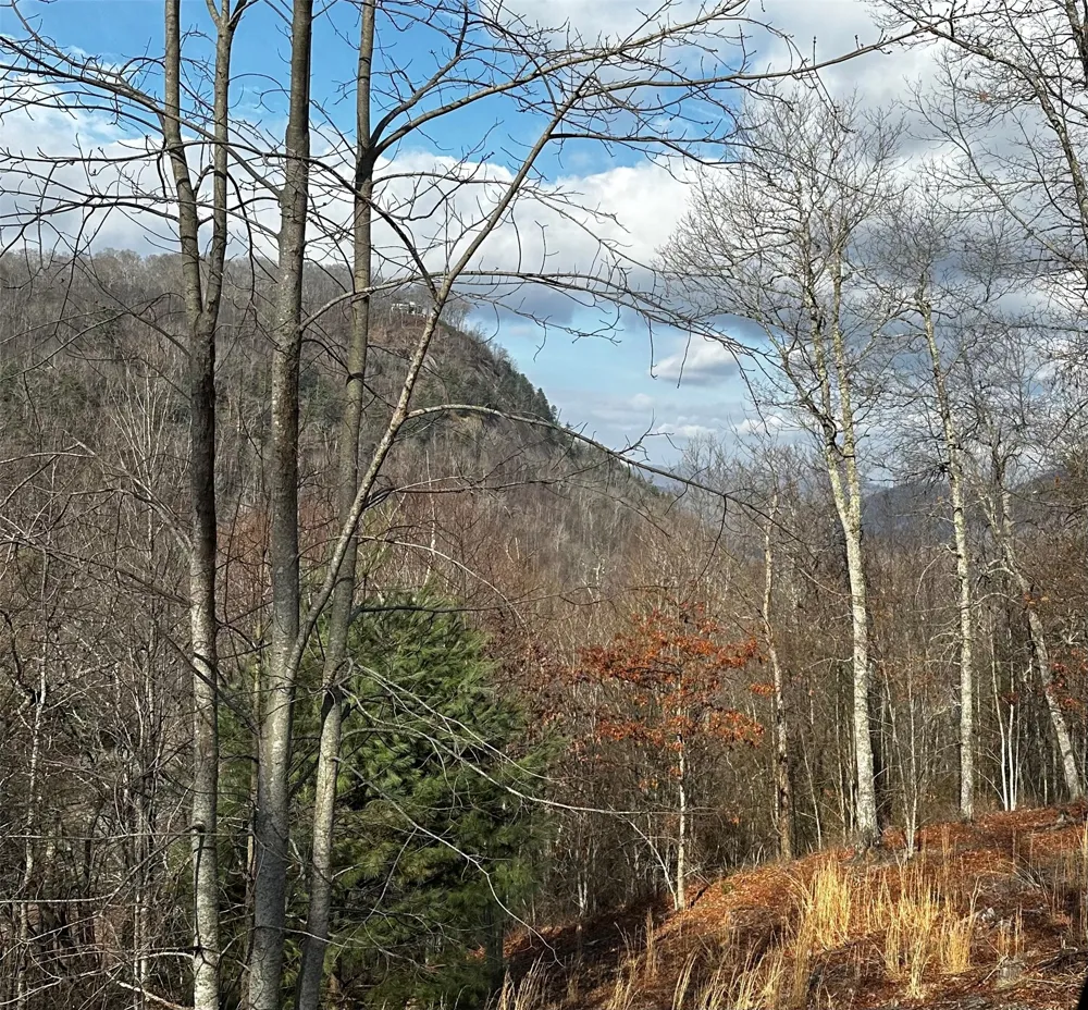 Lot 3 Ridgemont Drive Glenville, NC 28736